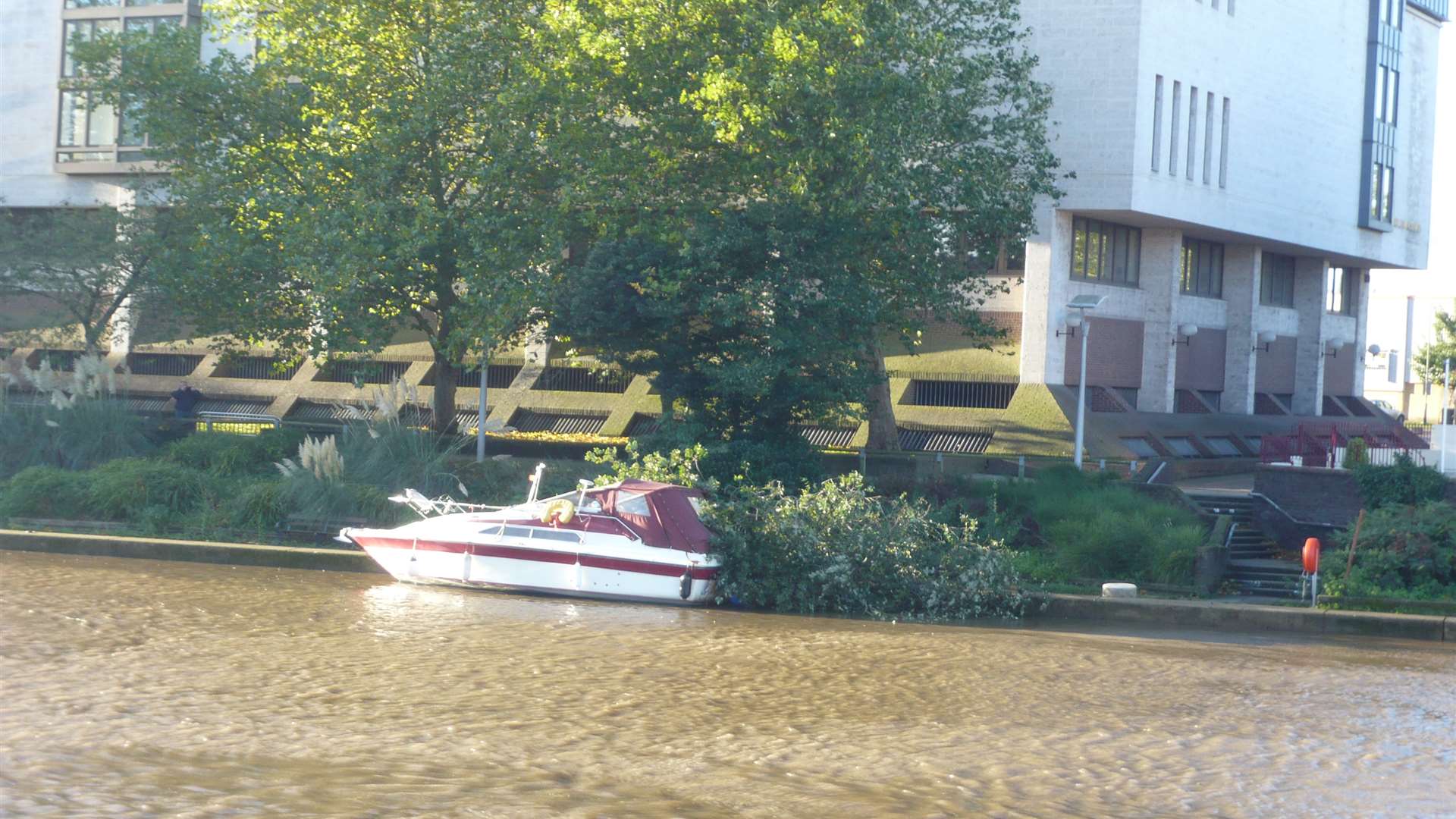 A tree has blown onto a boat moored by the Crown Court, Maidstone