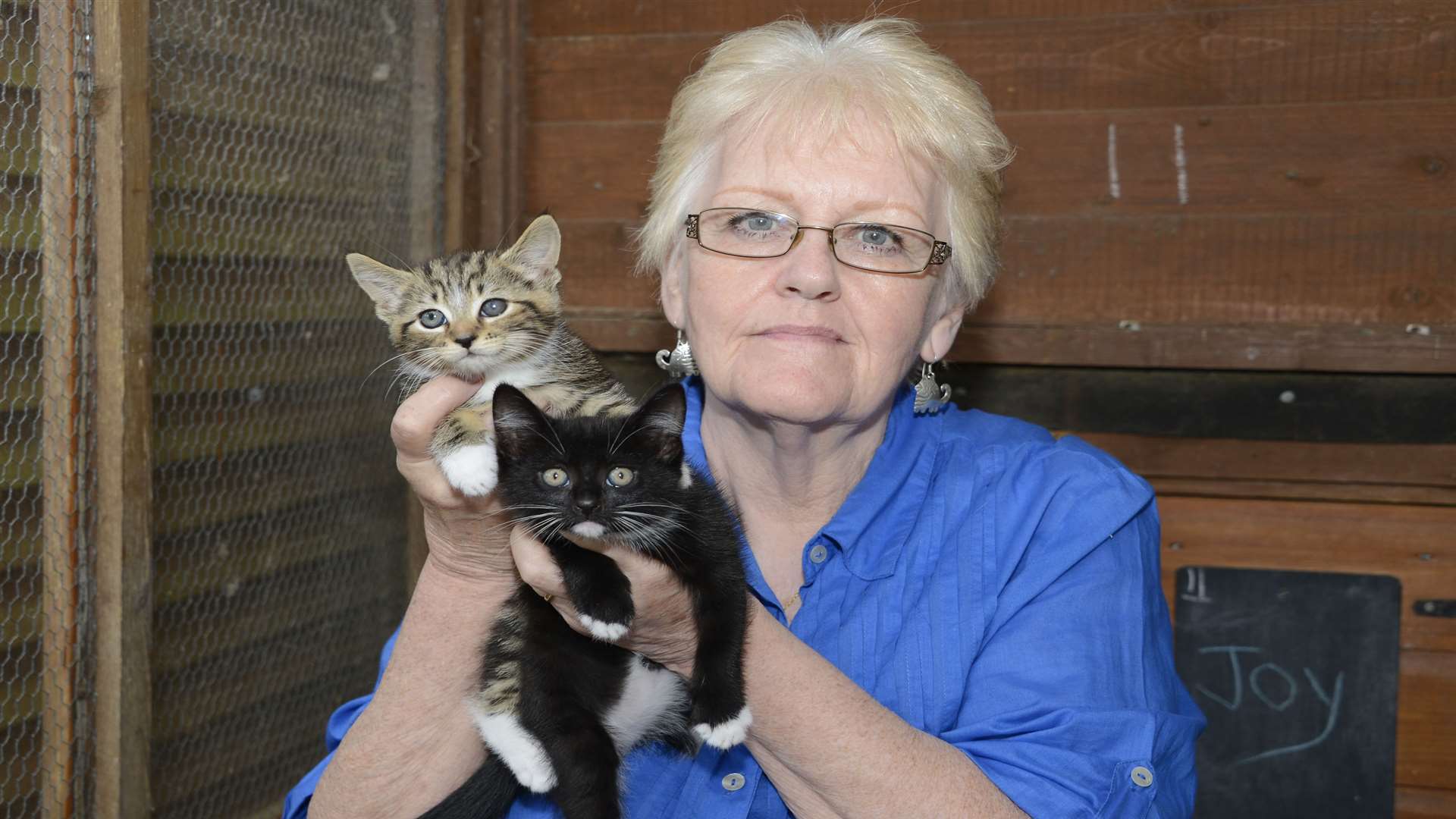 Kingsdown Cat Santuary's collection box was stolen. Clare Baumberg with two kitchens that were helped by the Sanctuary