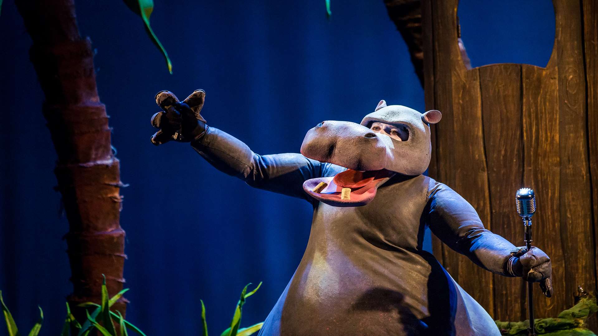 The stage version of David Walliams' the First Hippo on the Moon