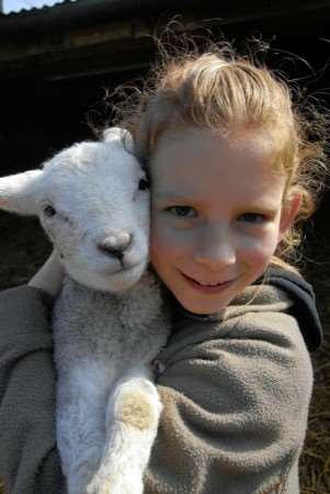 Fern Jefferies, 10, gets the chance to cuddle a lamb at Kent College farm open day