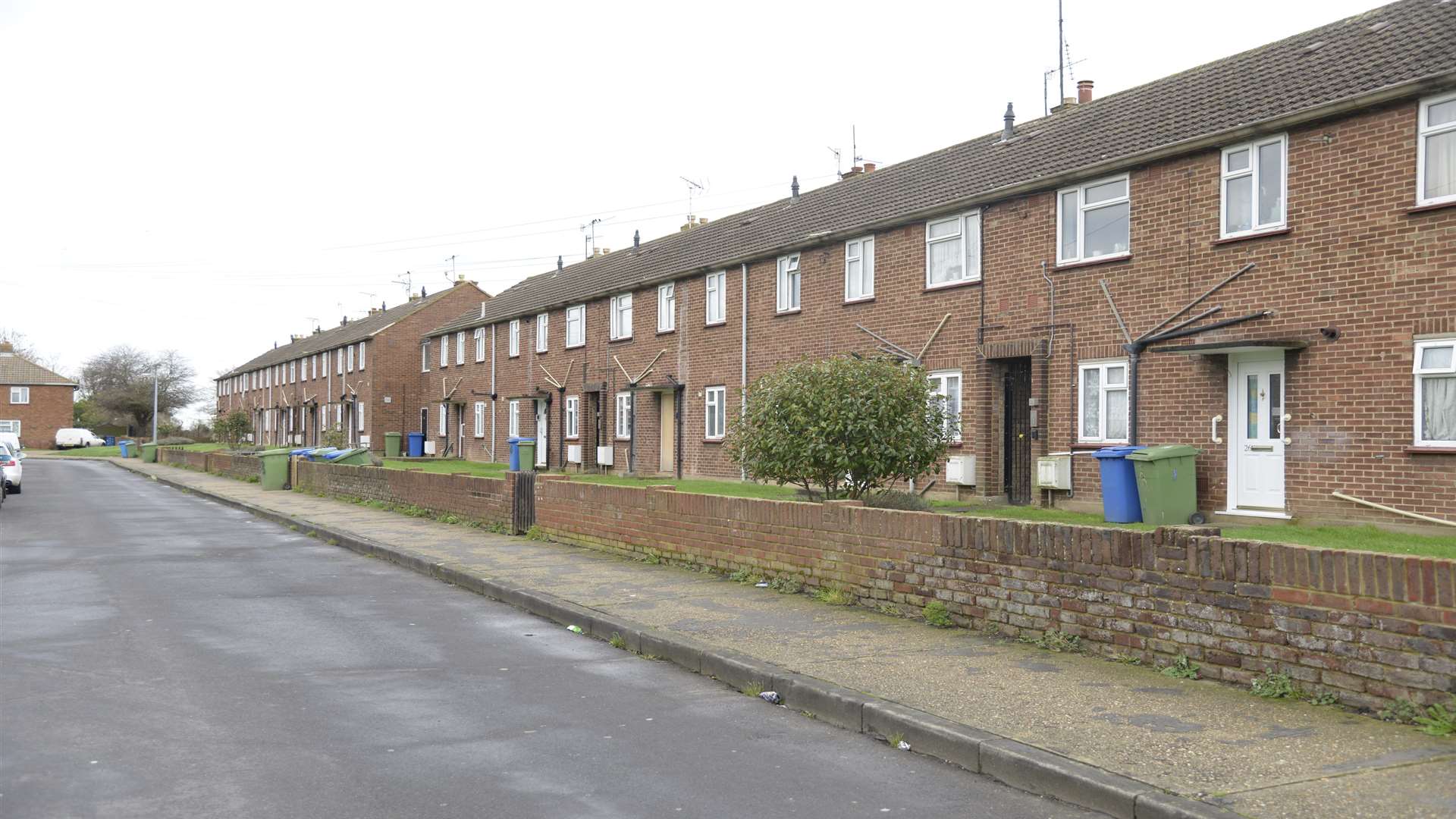 Brook Road, Faversham, where two cats were found dead