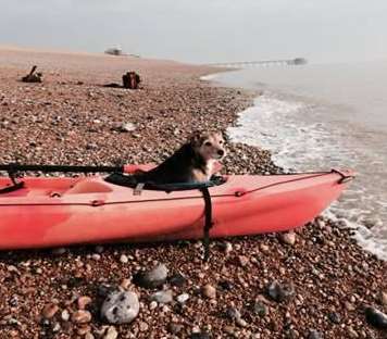 Harvey the Jack Russell loves to be in the Kayak with owner David Herriott