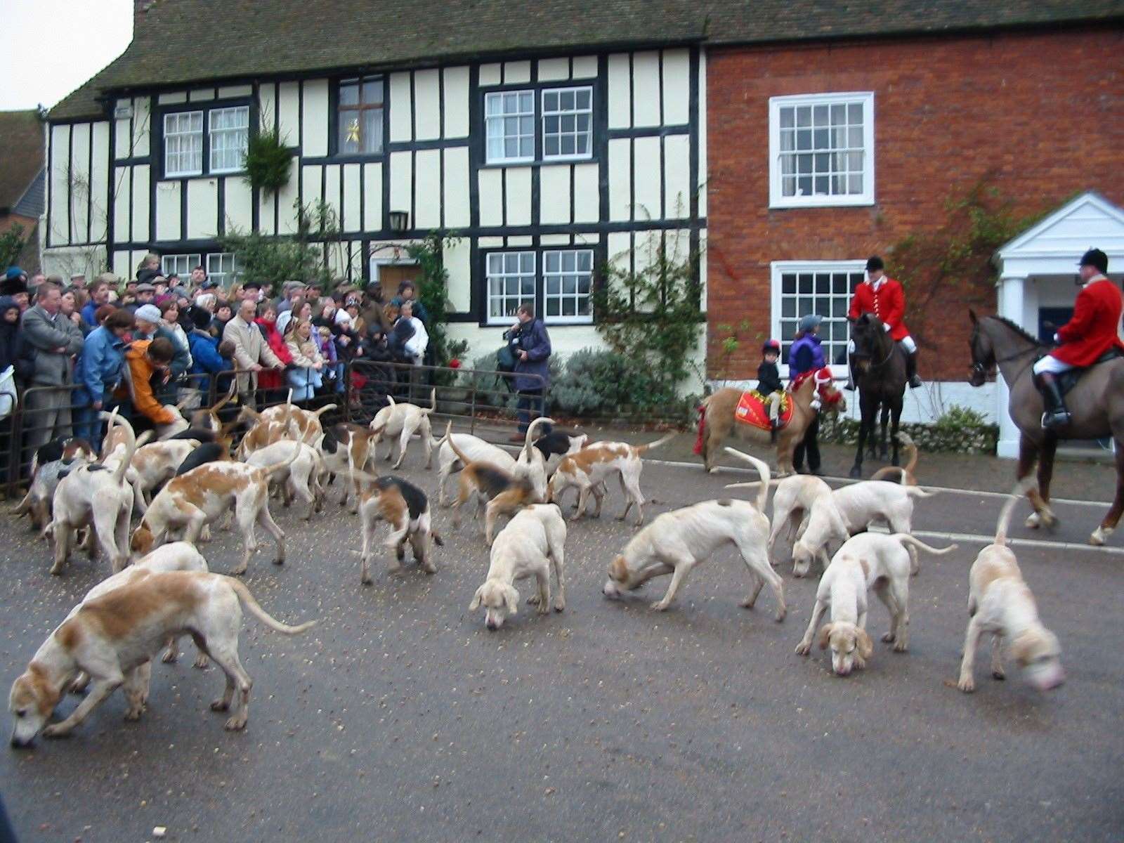Anti-hunt protesters face the hounds in Elham.