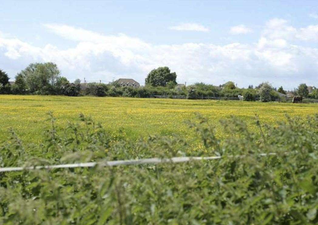 Bodkin Farm in Chestfield could be transformed into a 300-home estate with a care home and secondary school