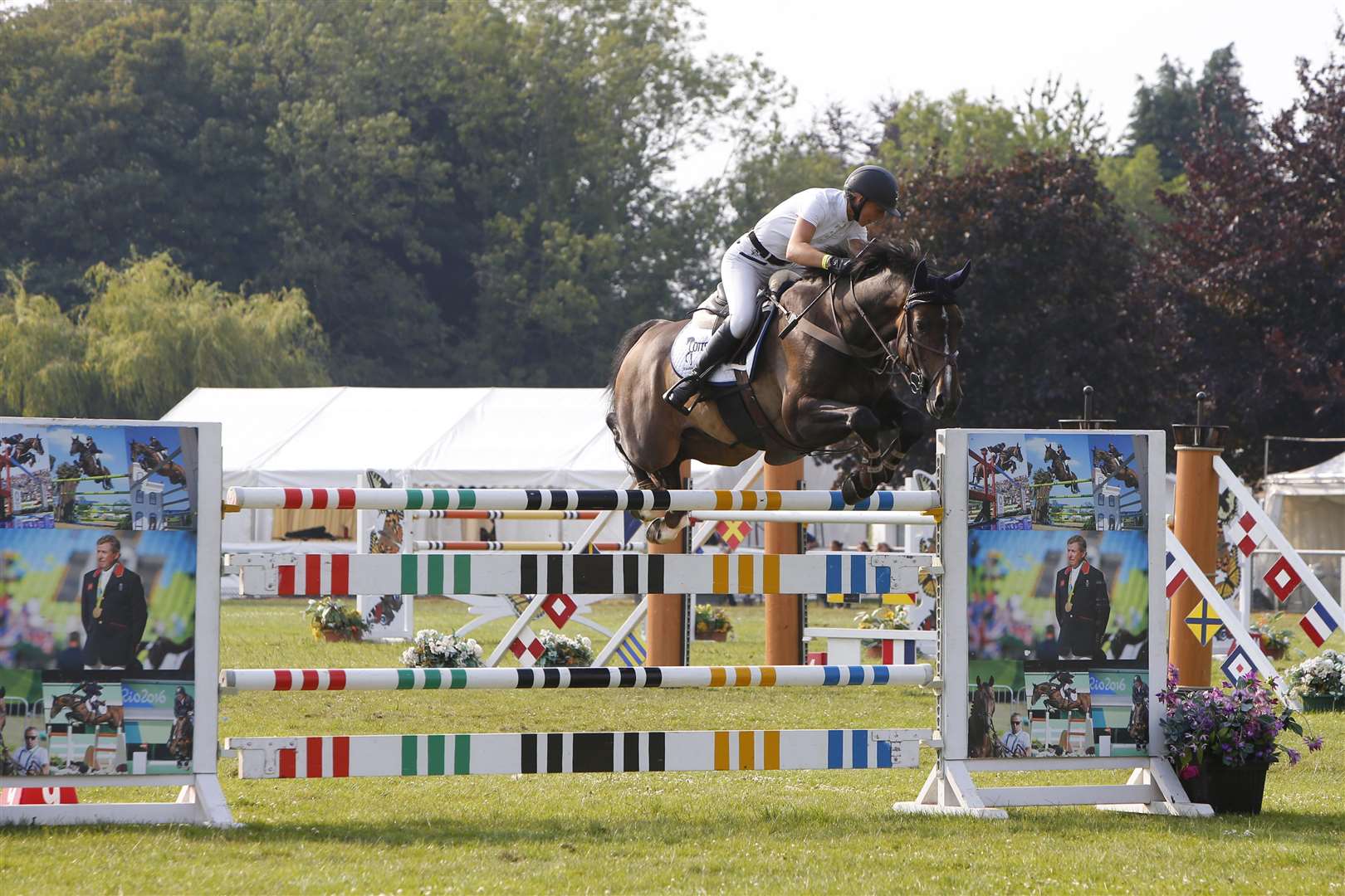 Action in the show-jumping arena
