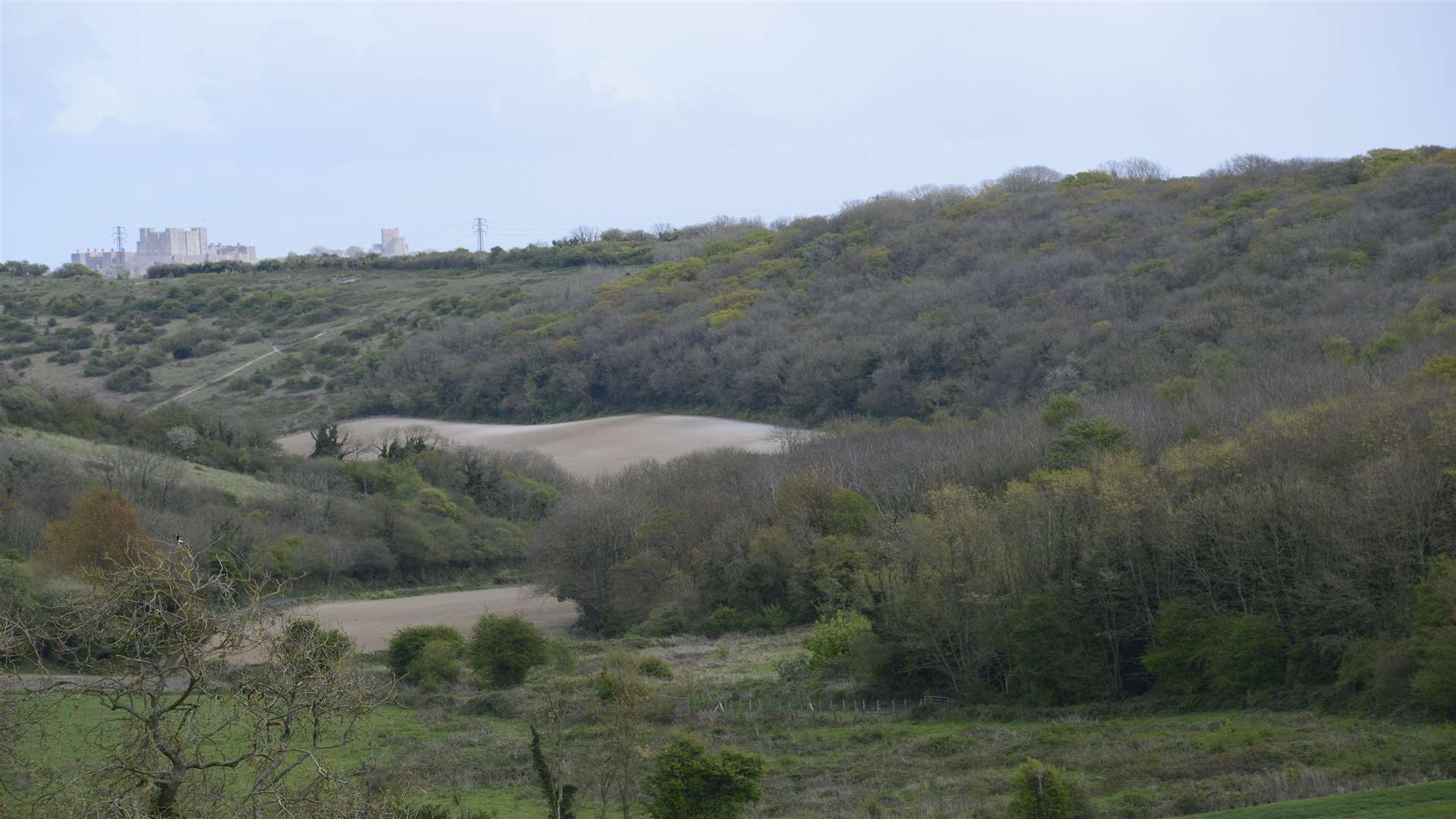 A general scene of the Long Wood area of Dover where the body was found.