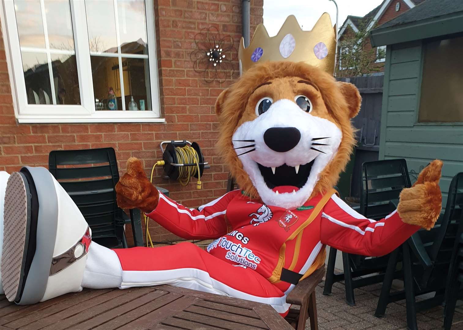 Roary the Lion is the new Kent Kings mascot
