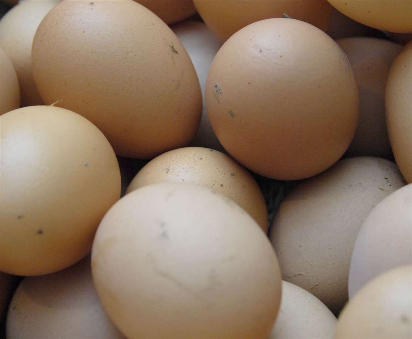 There are warnings of a shortage of eggs