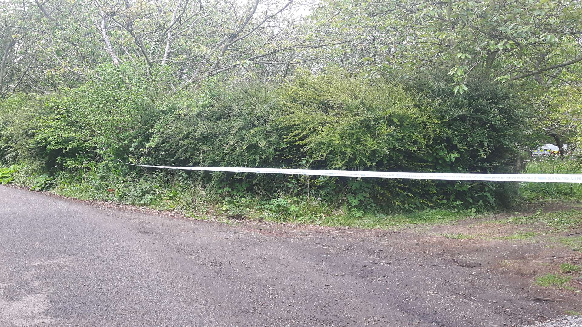 The field off Wick Lane