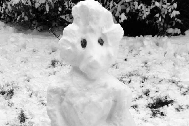 A very artistic snowperson! Picture: @georgiepud180