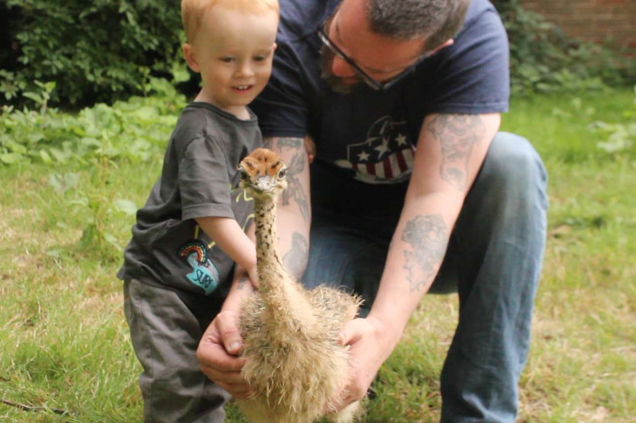 Simon Jeffery and son Max helping raise the baby ostrich. Picture: Port Lympne Reserve