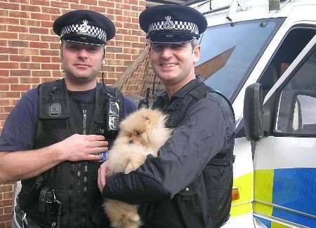 IN SAFE HANDS: The puppy with PC Dave Heddershaw, left, and PC Paul Cooke