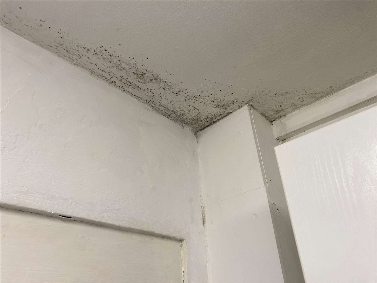 The mould has affected every room in the flat – pictured here is the kitchen