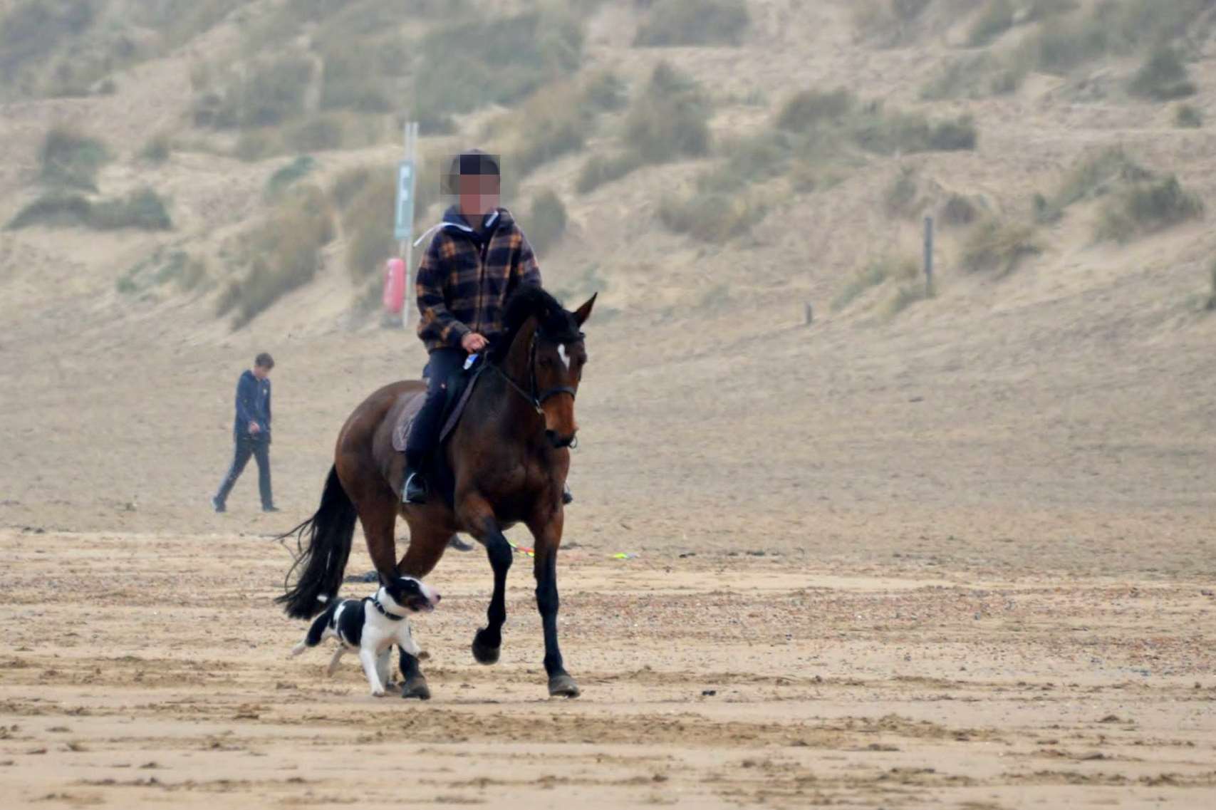 Photos posted on social media of the dog chasing after a horse shortly before attacking it on Camber Sands beach