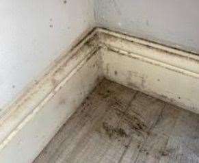 Mould in Stacey Cosier’s home in Smarden