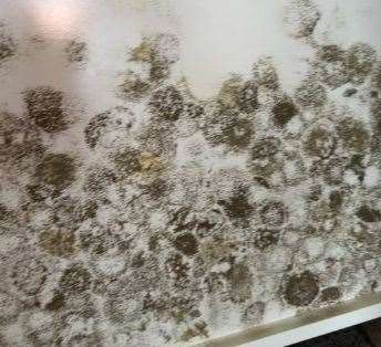 The mould found at the bottom of an under-bed drawer in Amy Metcalfe’s home