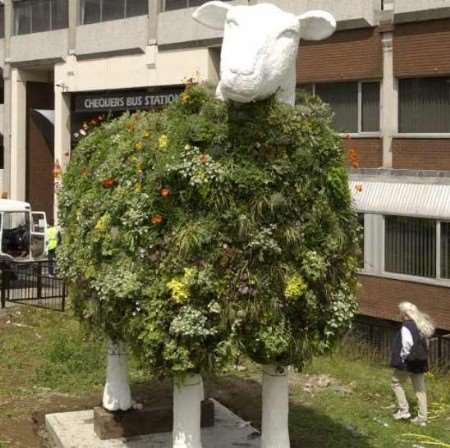 Shorn the Sheep's presence in the town centre could help grab the attention of a vast TV audience