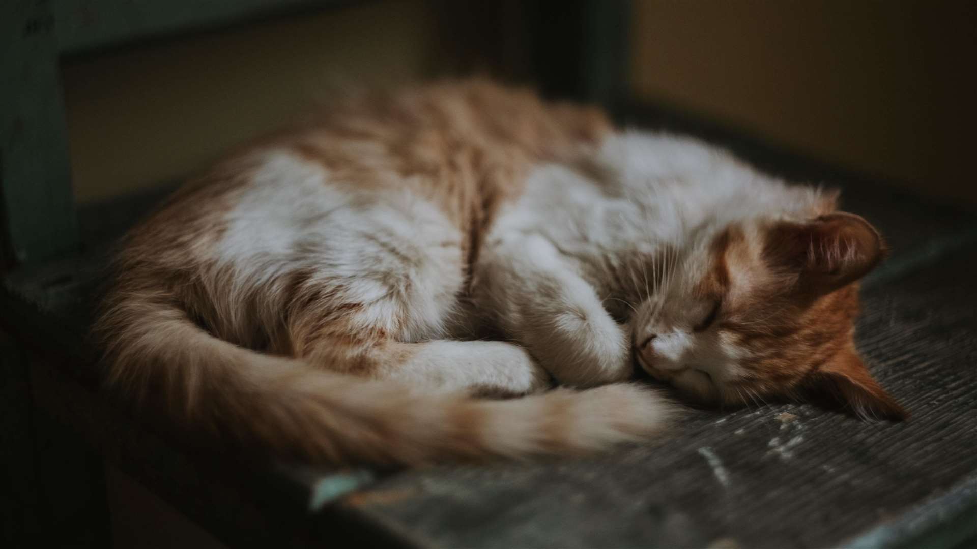 Belly up is the most vulnerable sleeping position. Picture: Matheus Bartell, Pexels