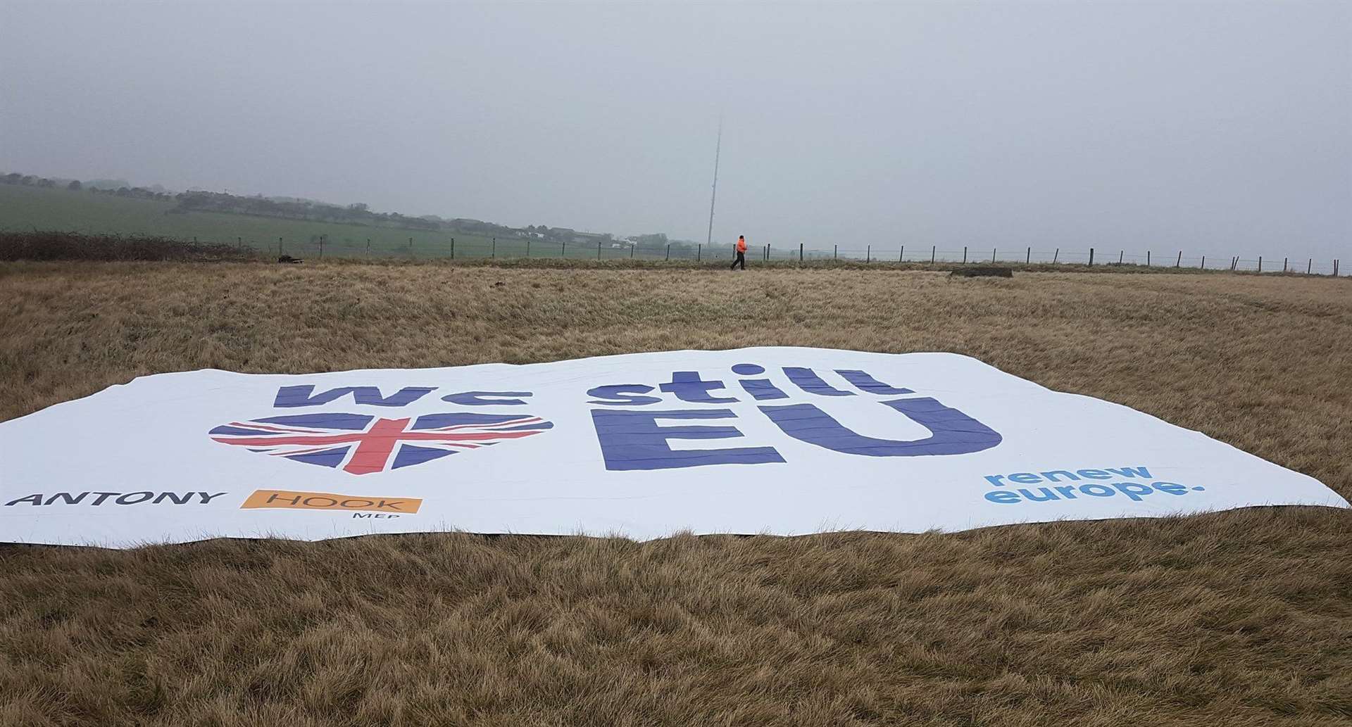 A close-up of the gigantic pro-EU banner