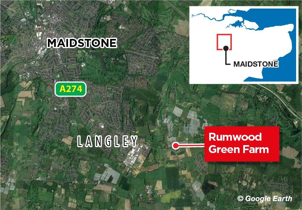 The incident was at Rumwood Green farm in Maidstone