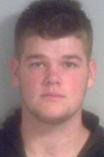 Driver Jonathan Ellis has been jailed for two years