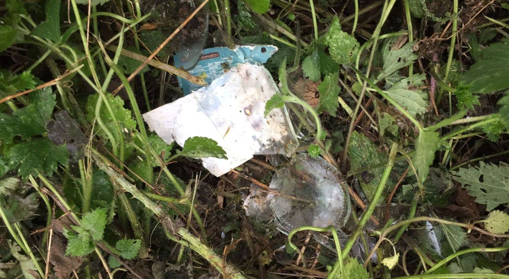 More litter tangled up in the grass along the canal. Picture: Eric Brown