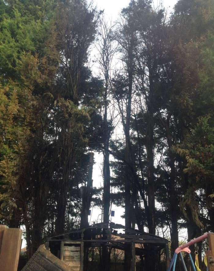 Trees above the shed were left torched
