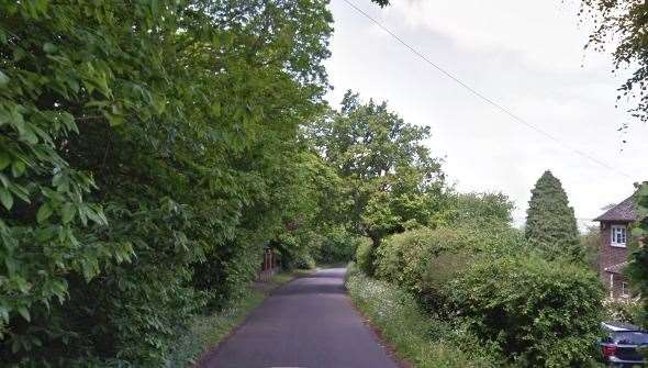 The kitten was found in an open garden area of The Heath, West Malling Picture: Google Street View