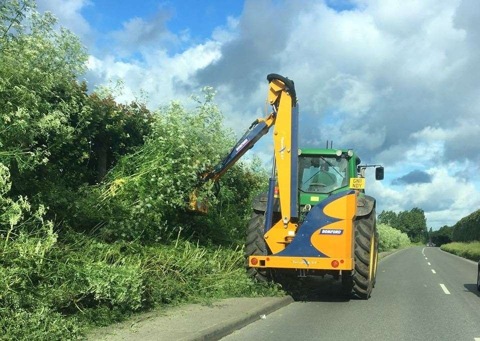 Hedge cutting along Graveney Road in Faversham was reported to police. Picture: CPRE Kent (12346650)