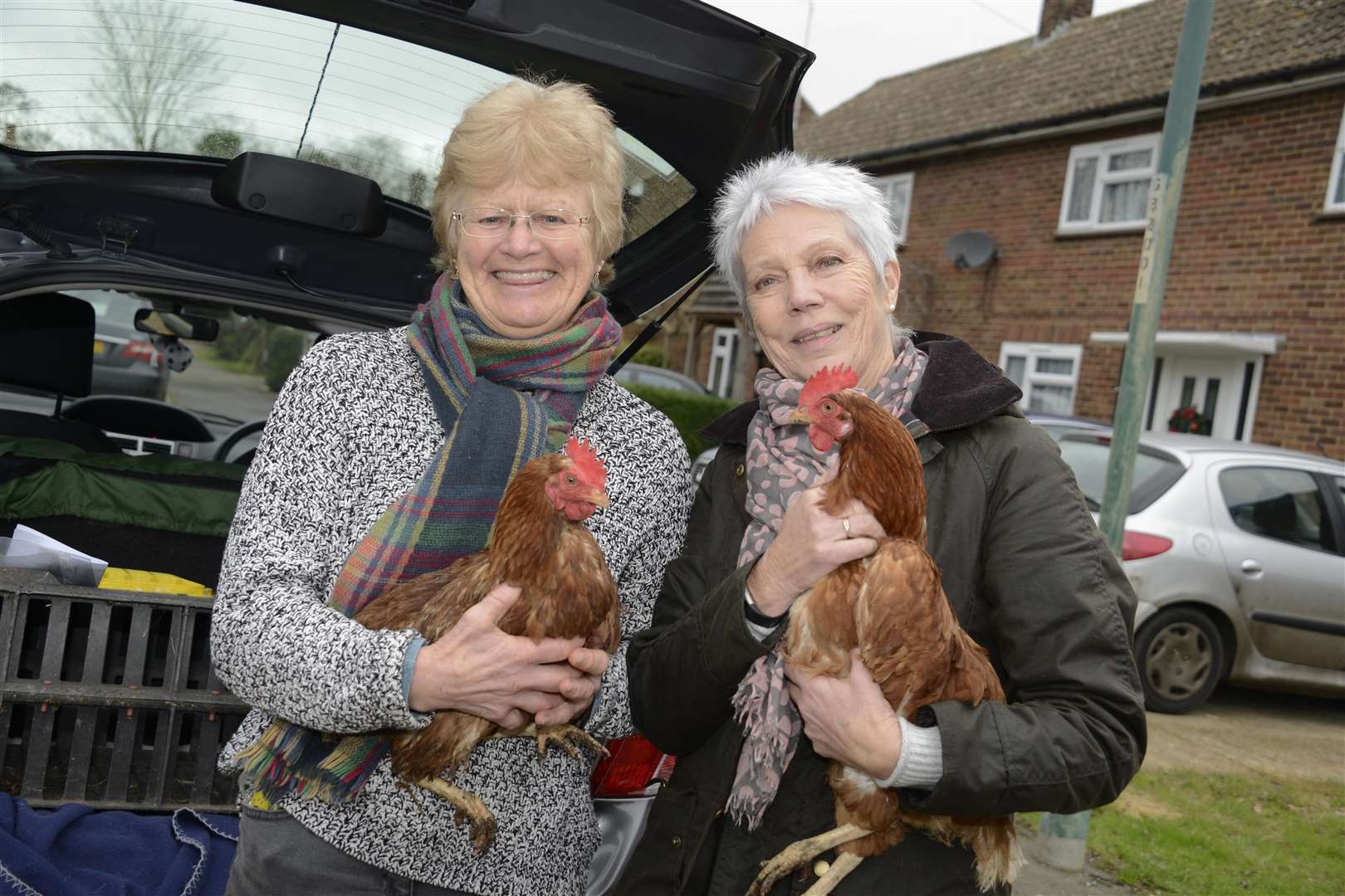 High Halden Hens go to a new home. Gill Whittaker and Daphne Lindsay collect their Hens.Picture: Paul Amos. (6469983)