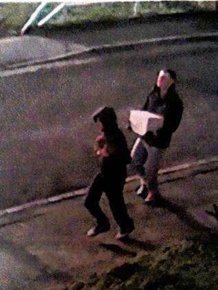 Burglars captured on CCTV after stealing Rocco, a Staffordshire bull terrier puppy, and a safe from a house in Strood