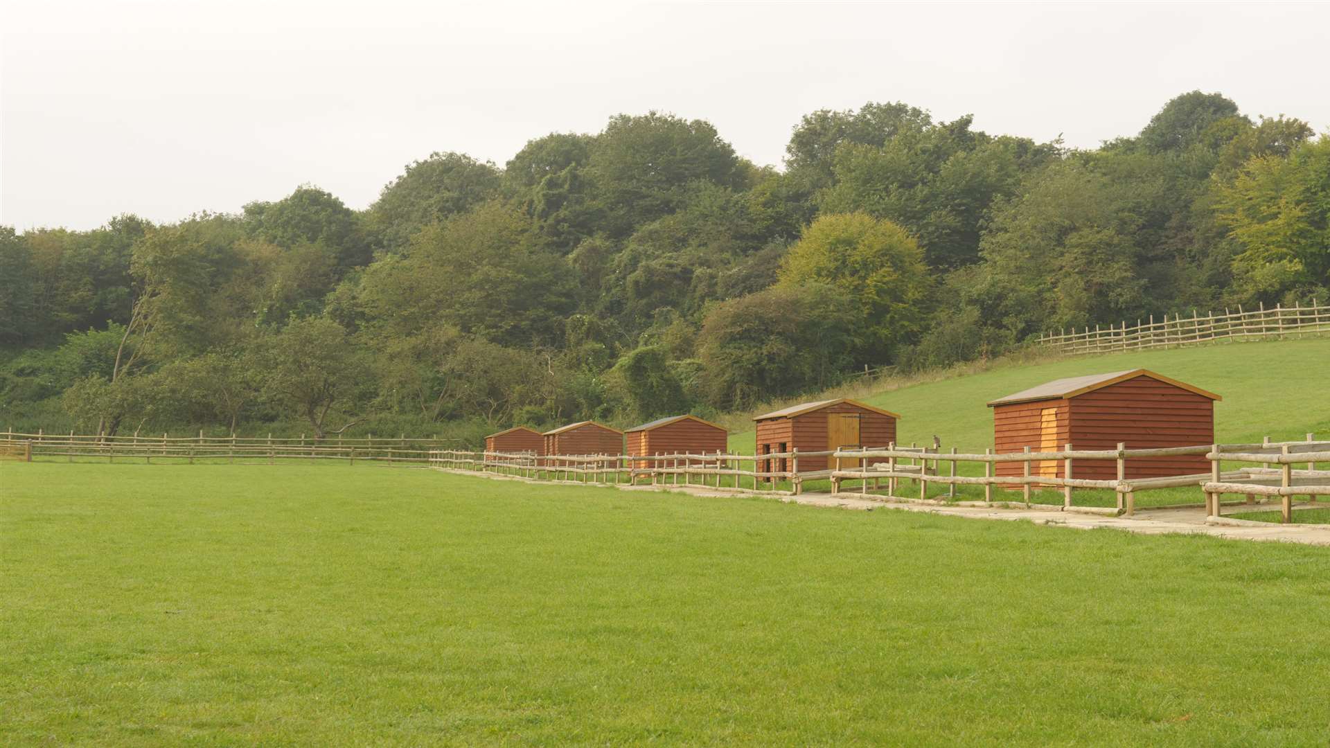 Empty fields at the animal education centre.