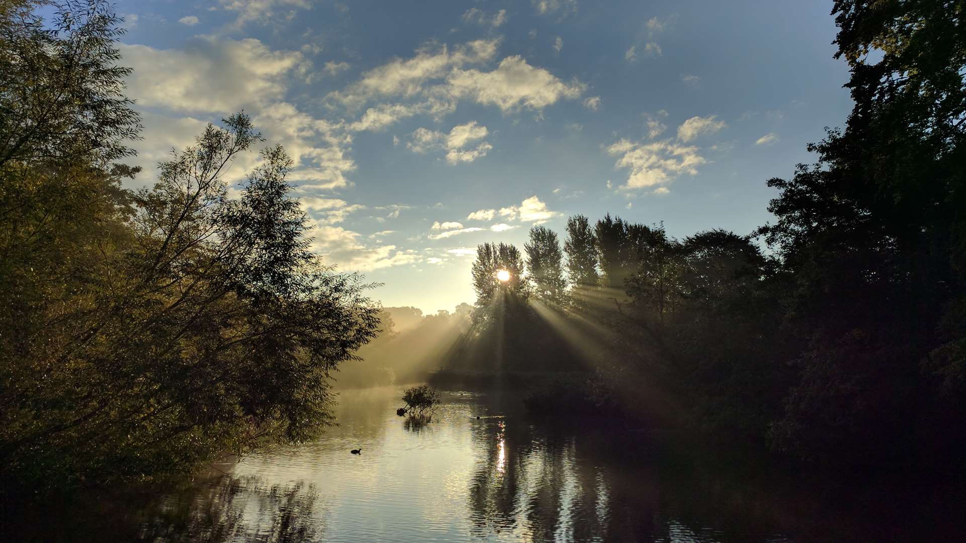 Mark Checksfield's photo of the lake at Mote Park won the Landscape category of the photographic competition