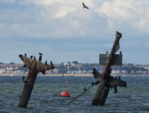 Cormorants perching on the masts of the wreck of the American munitions ship SS Richard Montgomery off Sheerness. Picture: Margaret Flo McEwan
