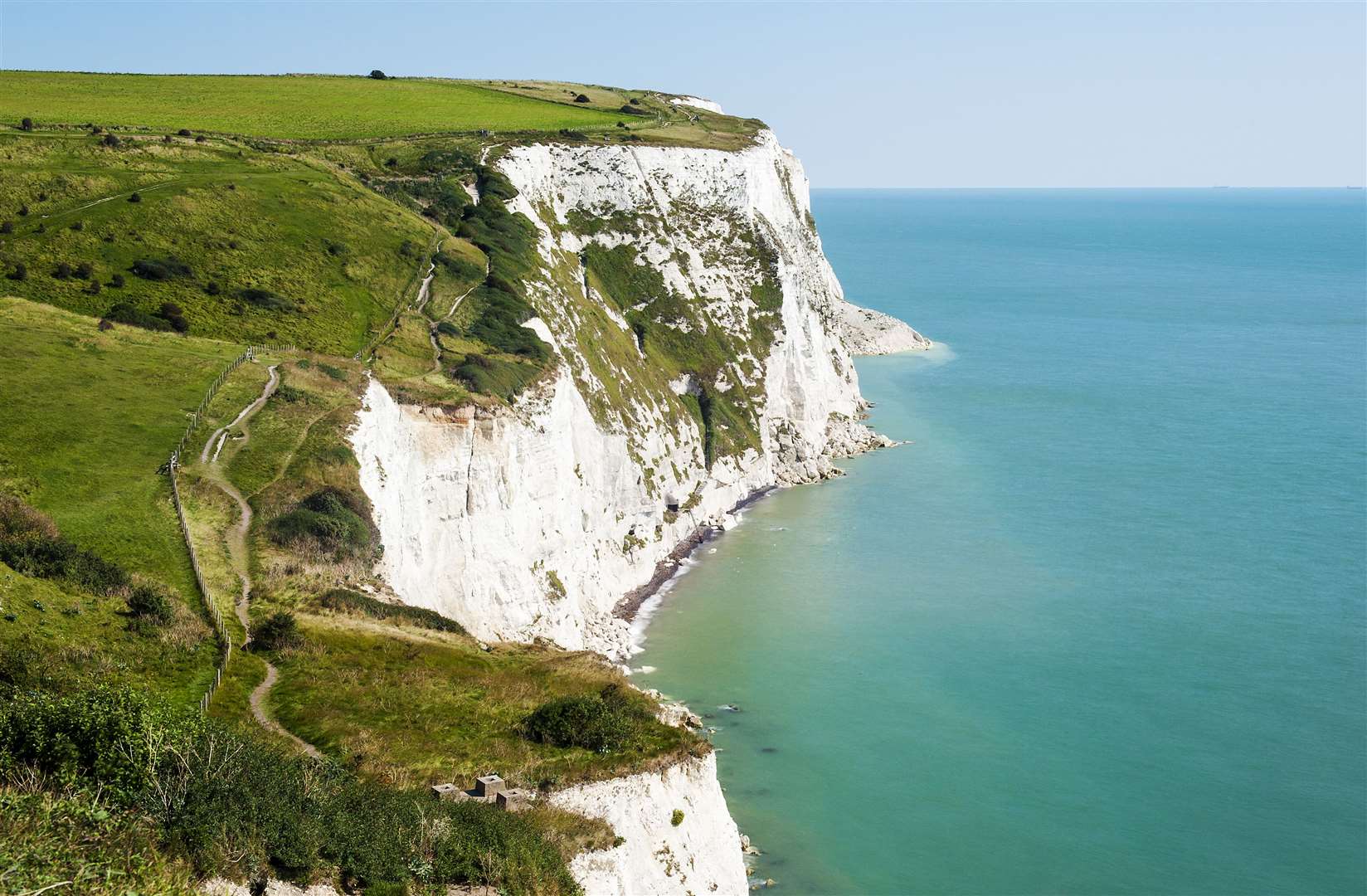 Philip Kaye got a surprise as he swam towards Dover's famous White Cliffs