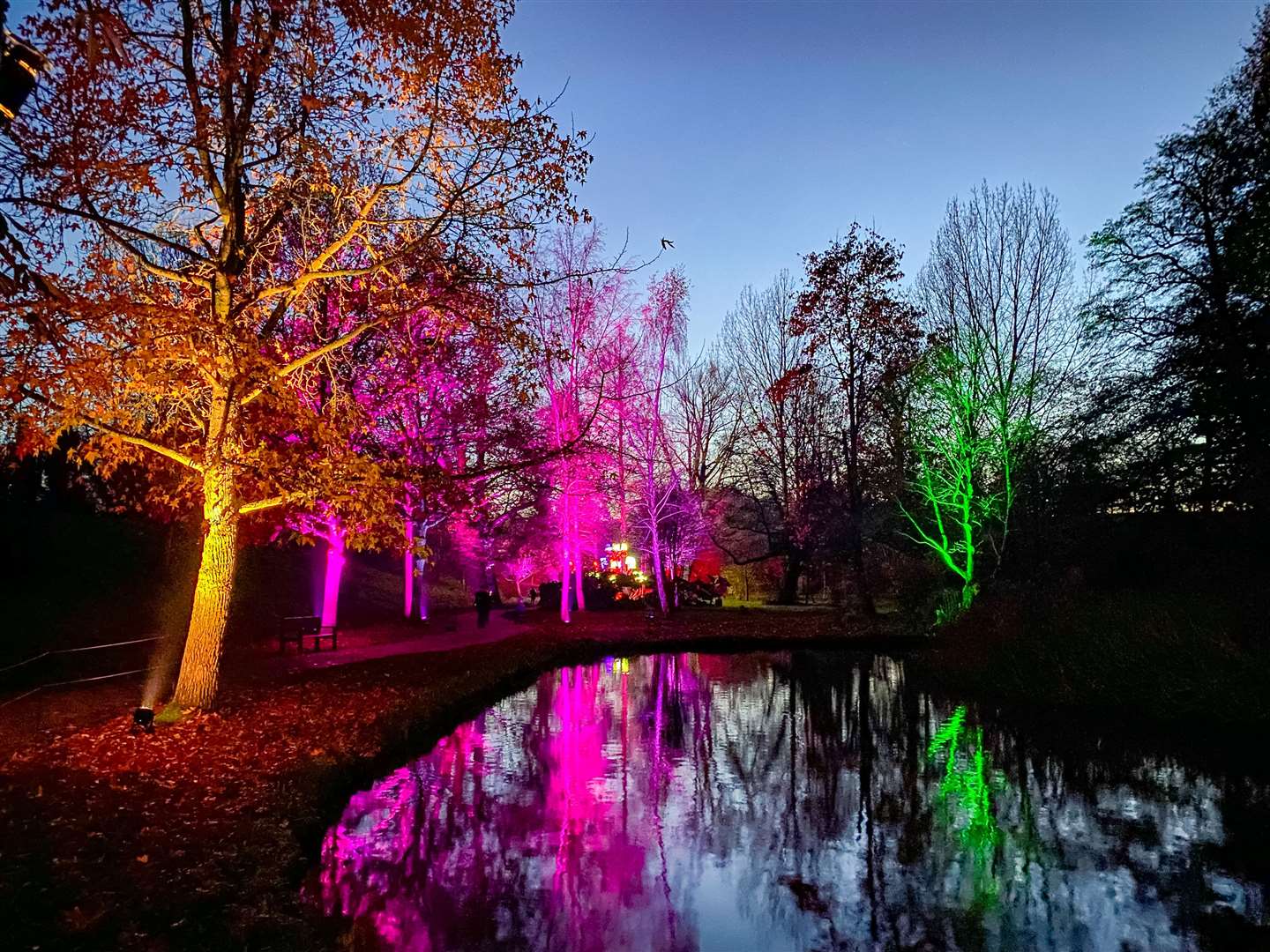 The light trail at Leeds Castle is full of immersive installations that illuminate the grounds. Picture: Sam Lawrie