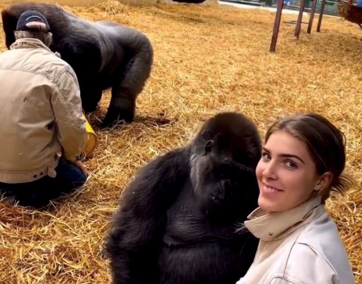 Damian has also shared a clip of him and his daughter Freya sitting with the gorillas at Howletts. Picture: Damian Aspinall on Instagram