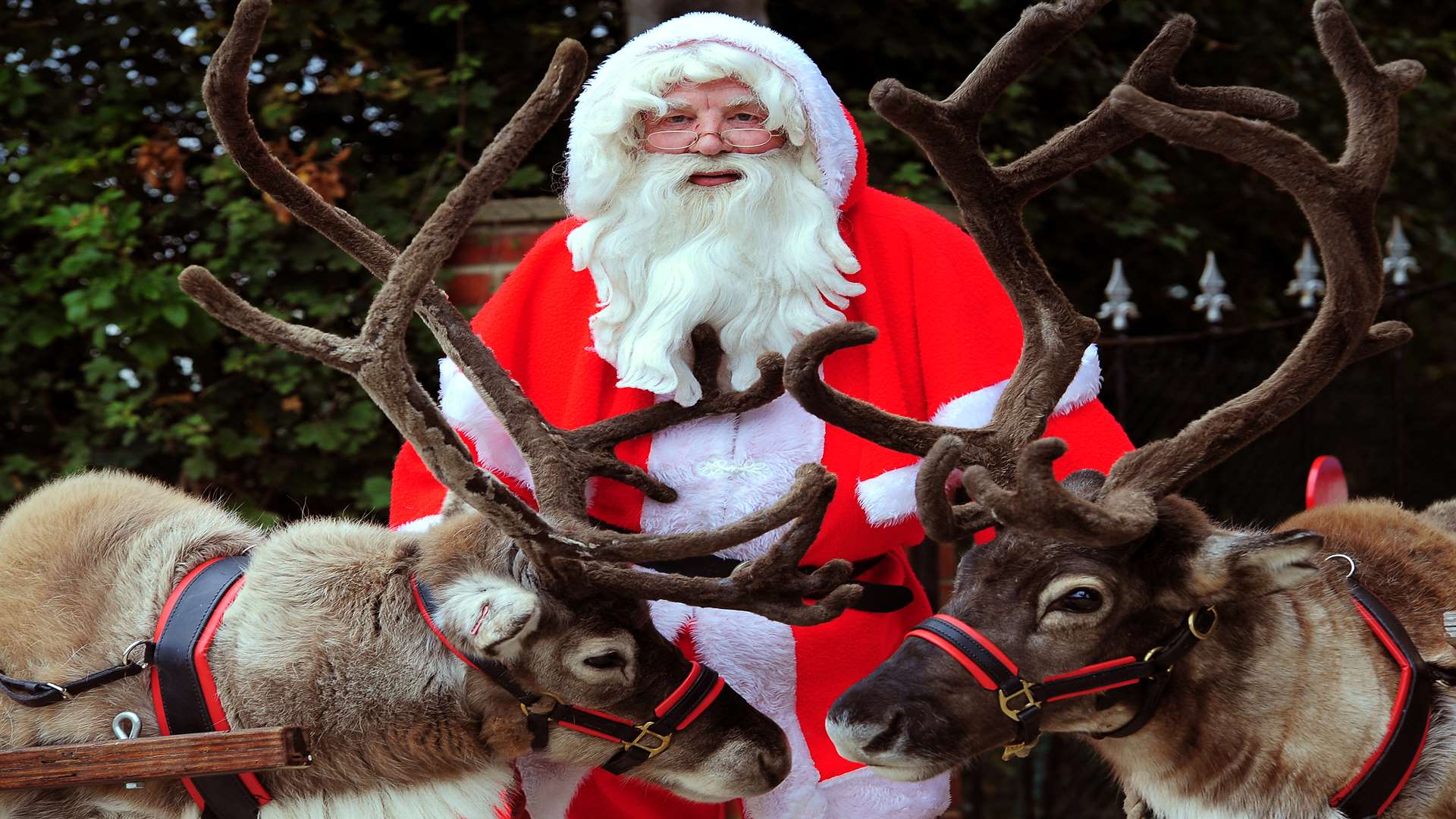 The real santa. Фазер Кристмас дед Мороз. Оленья упряжка Санта Клауса.