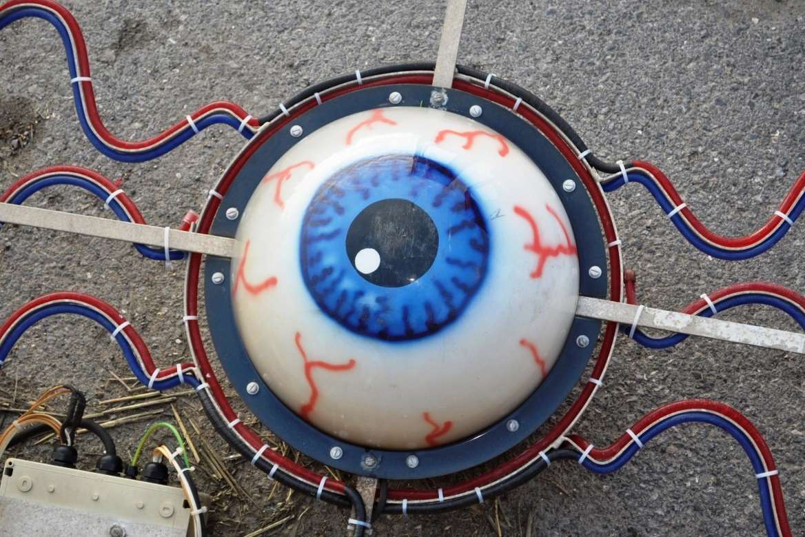 There were five illuminated eye ball displays with varying rope light colours up for auction