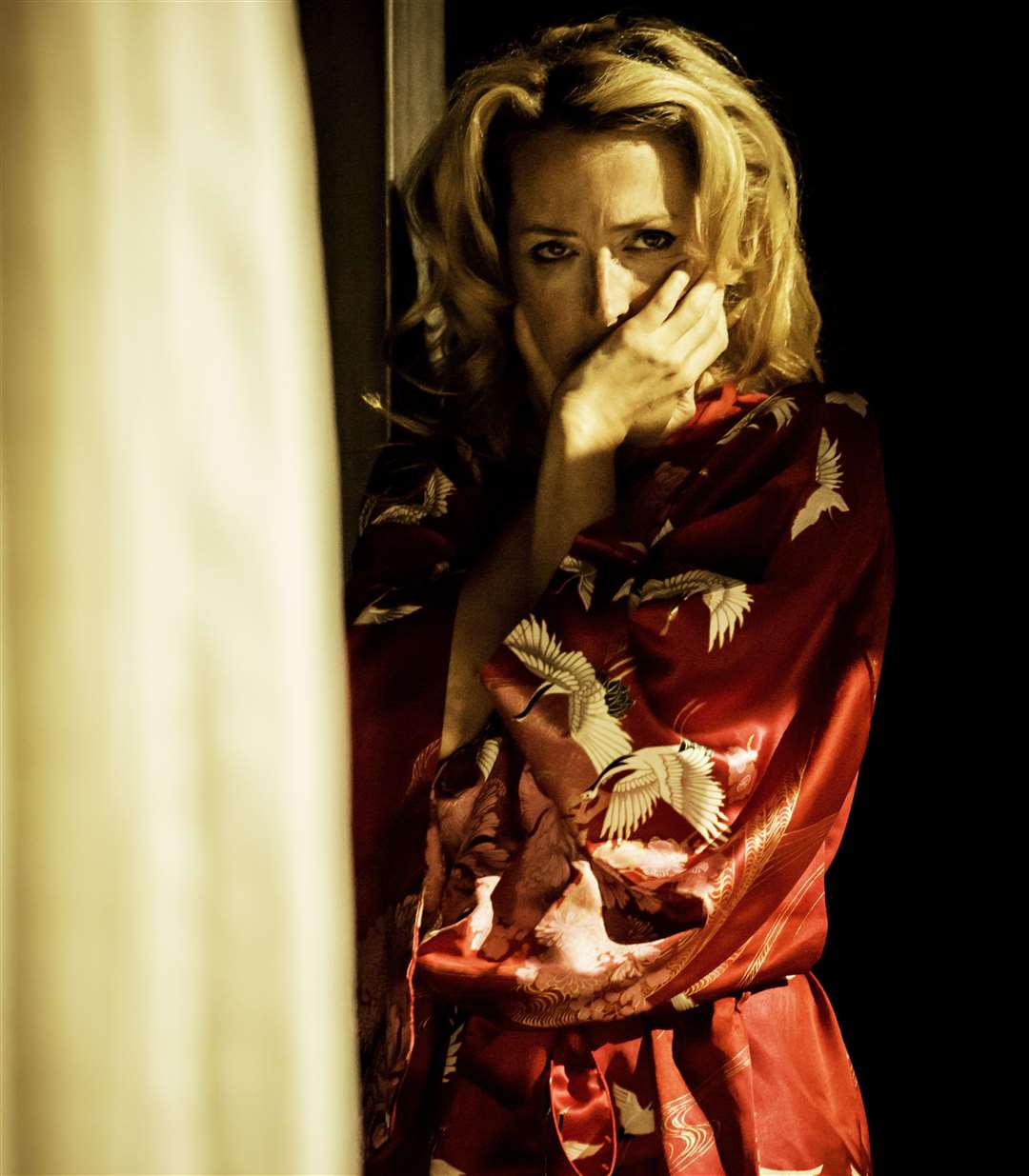 A Streetcar Named Desire by Williams, a Young Vic production starring Gillian Anderson Picture: Johan Persson/National Theatre