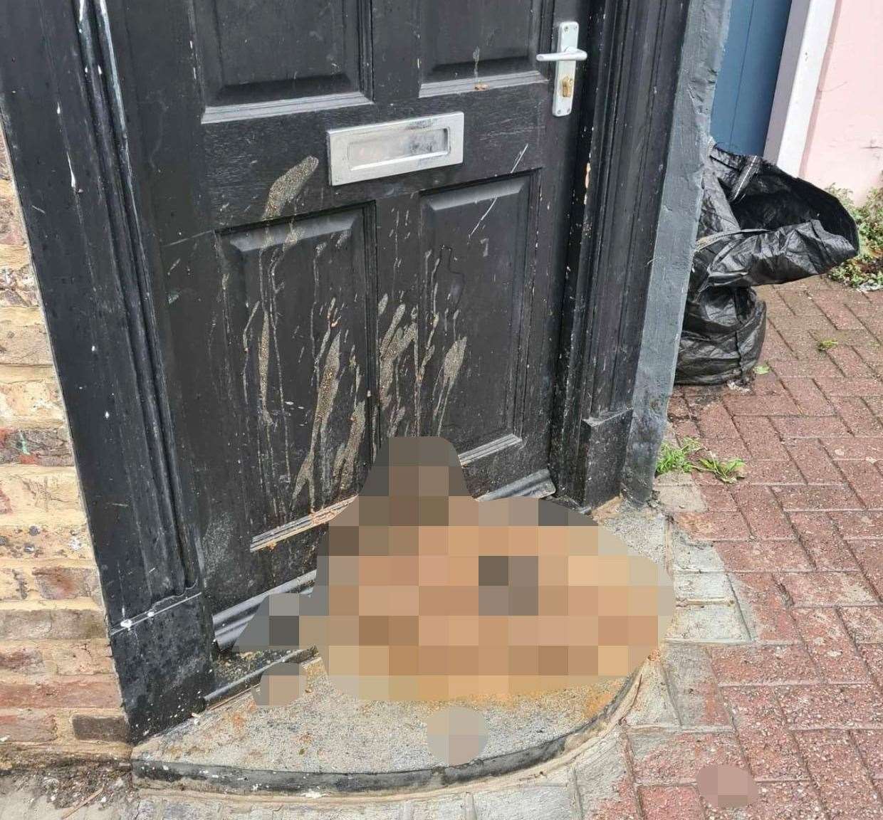 The disgusting mound of poo left on Maxi Mayhew's doorstep in Ramsgate. Picture: Jam Press