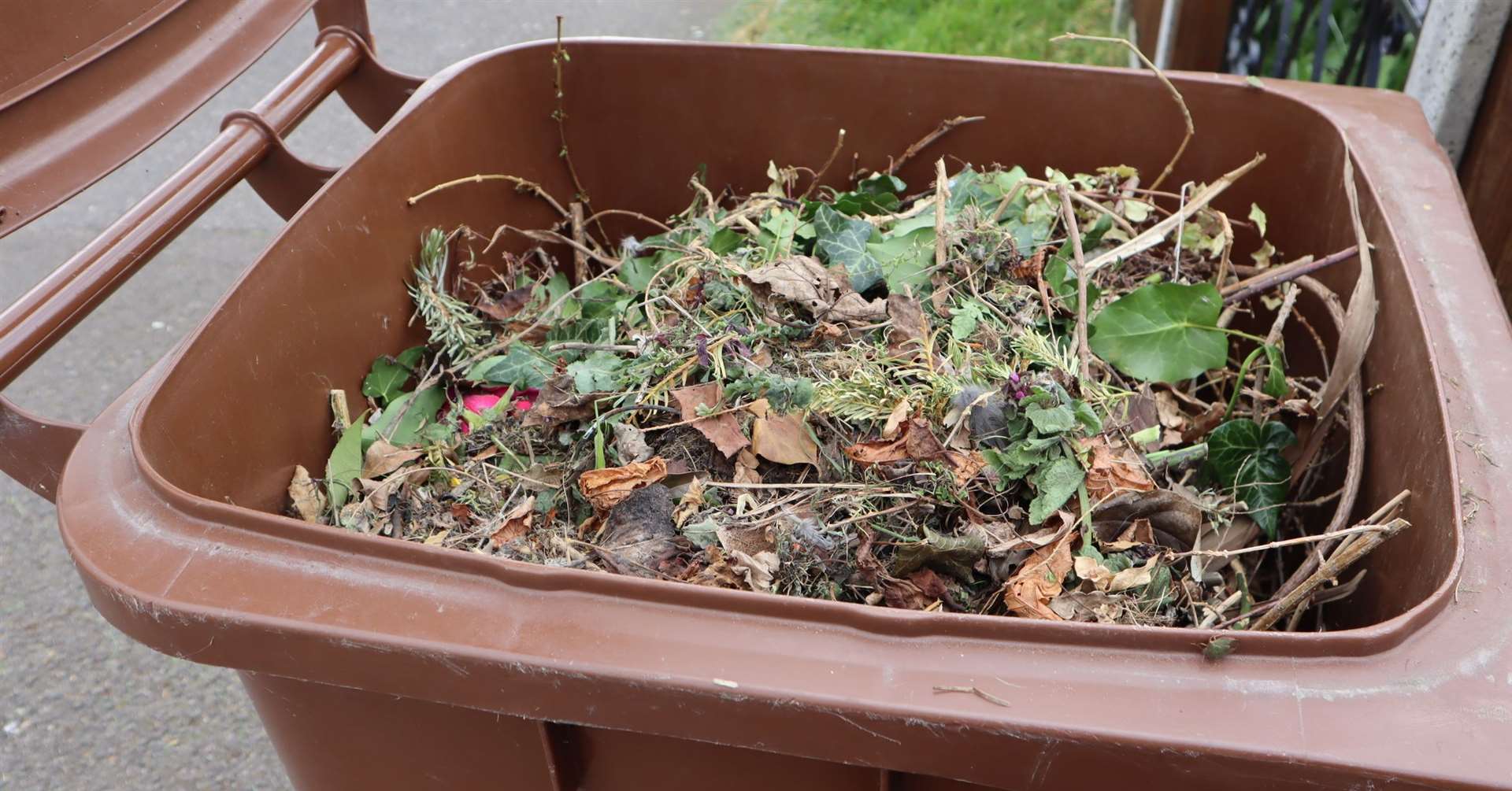 Brown bin collections for garden waste will resume