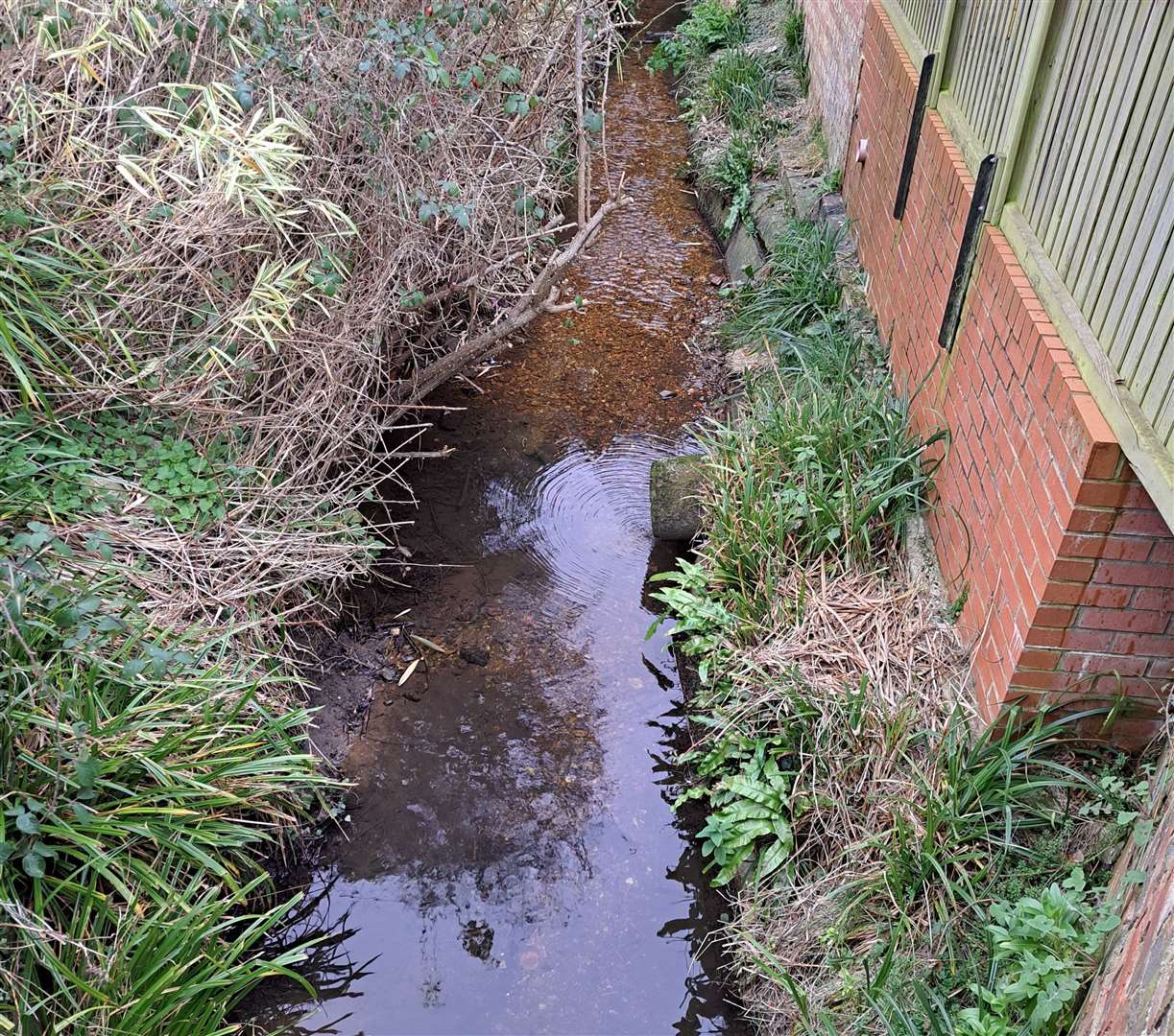 The stream is now back to its normal colour
