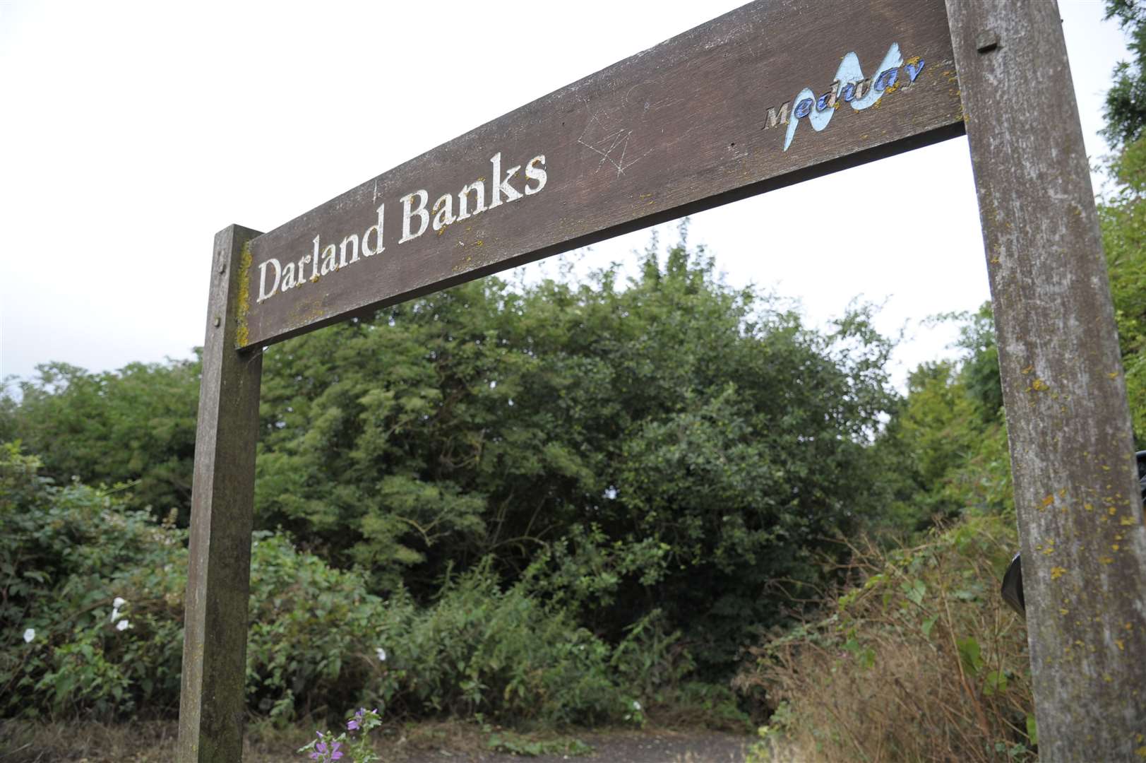 The incident is believed to have taken place in the Darland Banks Nature Reserve, near Gillingham Picture: Andy Payton