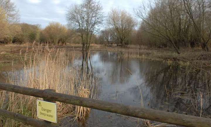 Stodmarsh Nature Reserve near Canterbury which is suffering nutrient pollution
