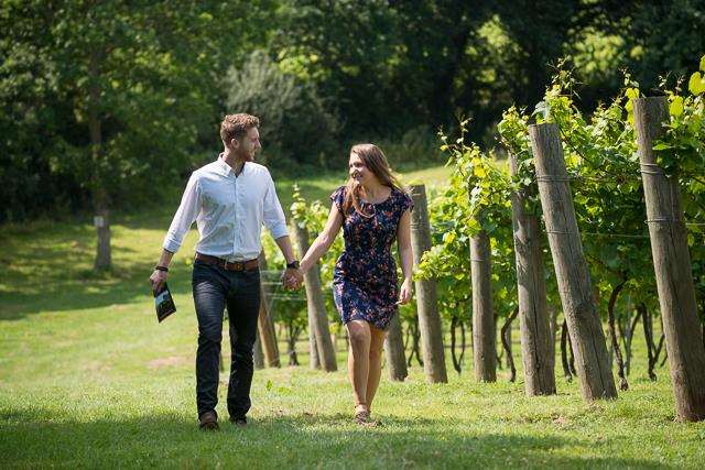 Take a romantic stroll through Chapel Down Winery (6933714)