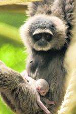 Mum and baby pose for the camera.