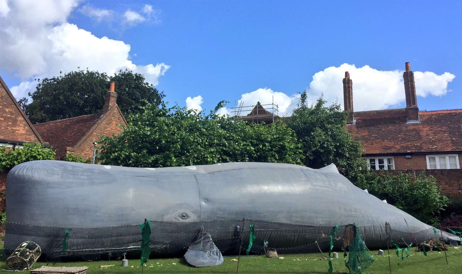 The Inflatable Whale Show will come to Dreamland (1269397)