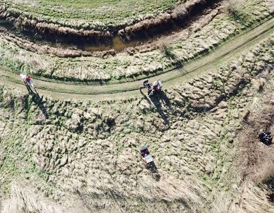 Drone footage showing huntsman on horseback on the left and what is claimed to be terrier-men digging out a fox hole on the right (7393939)
