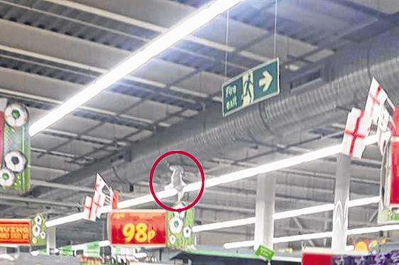 The seagull, circled in red, trapped overhead on steel wire at Asda in Folkestone.